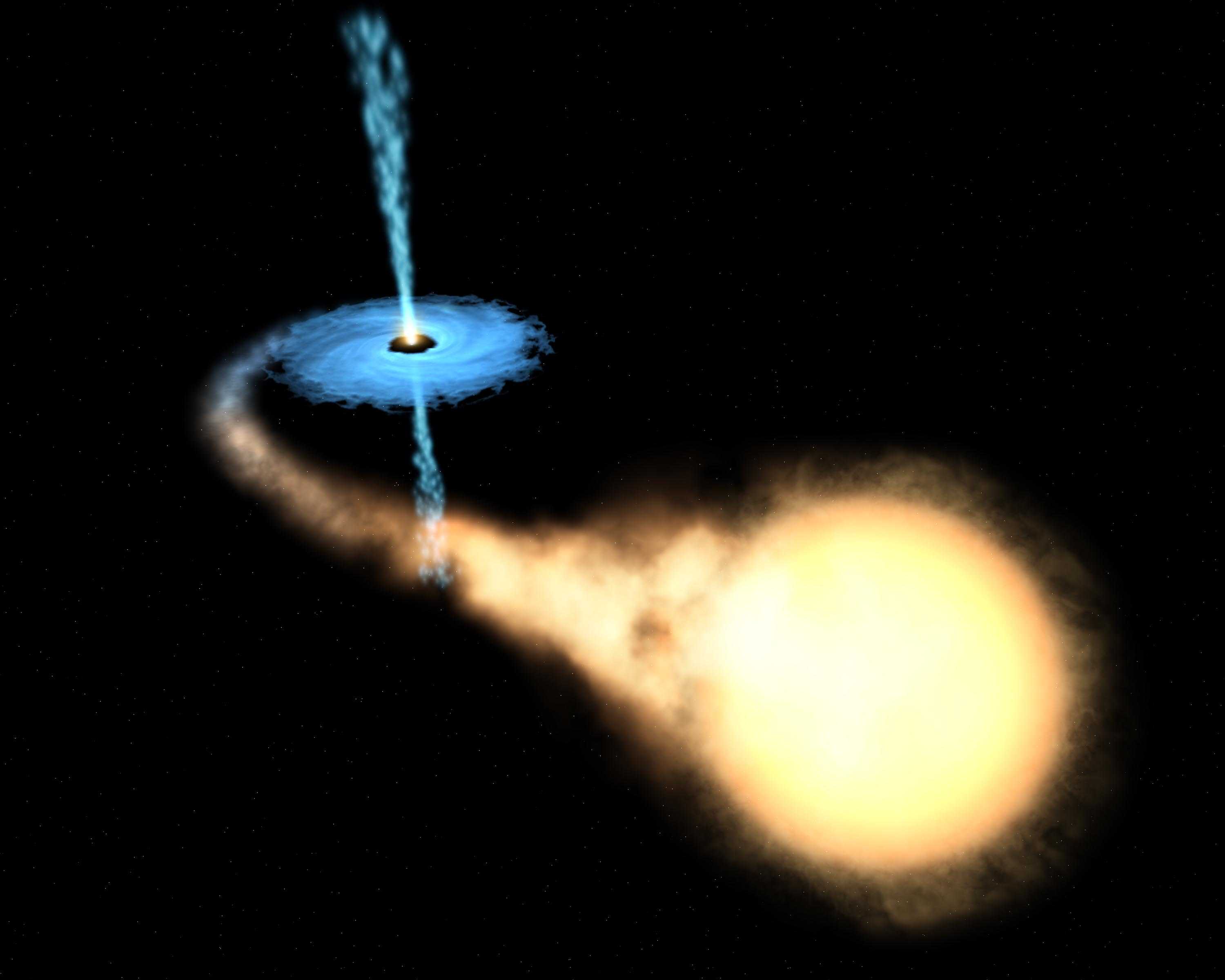 Black hole & companion star